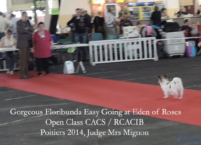 at Eden of Roses - POITIERS 2014 - ISI