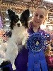  - WESTMINSTER 2020 AGILITY DIVISION 20cm