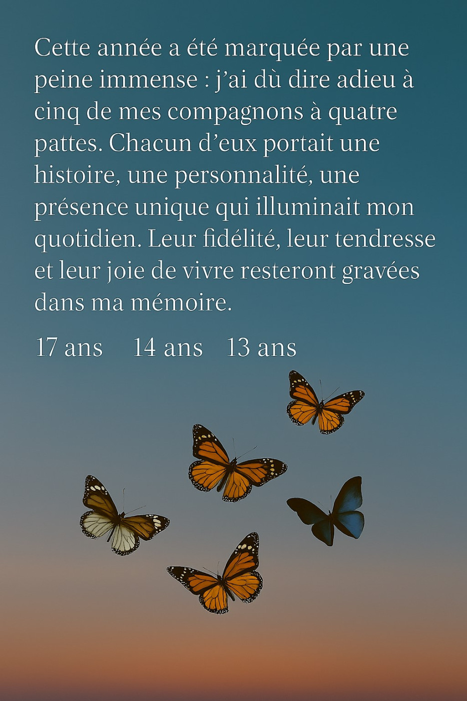 at Eden of Roses - L'année 2025 se termine.....