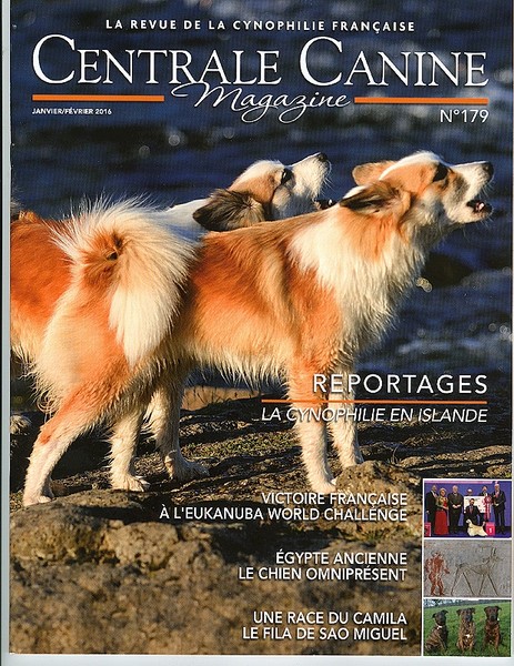 at Eden of Roses - CENTRALE CANINE MAGAZINE N°179